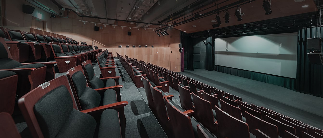 Commercial Upholstery Theatre Seating